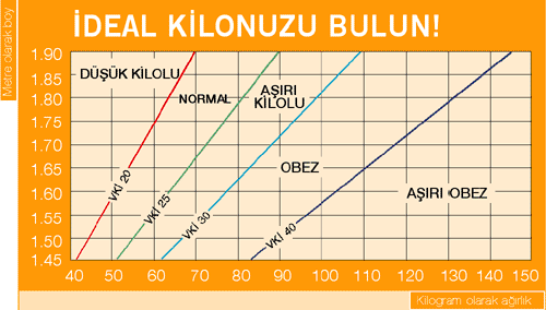 vücut kitle indeksi