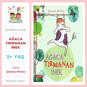 Ağaca Tırmanan İnek (3+Yaş)