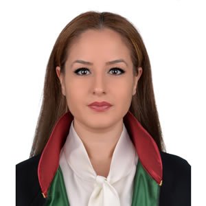 Şiddete uğrayan kişilerin izleyeceği hukuki yollar nelerdir?
