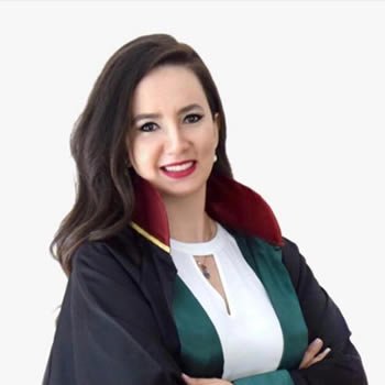 Haksız Tahrik Nedir