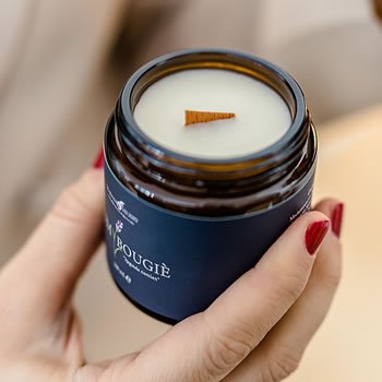 Mumların Yaşam Alanındaki Güçlü Etkisi