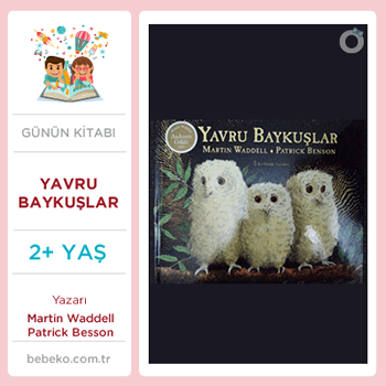 Yavru Baykuşlar (2+Yaş)